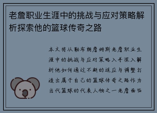 老詹职业生涯中的挑战与应对策略解析探索他的篮球传奇之路