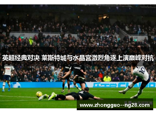 英超经典对决 莱斯特城与水晶宫激烈角逐上演巅峰对抗