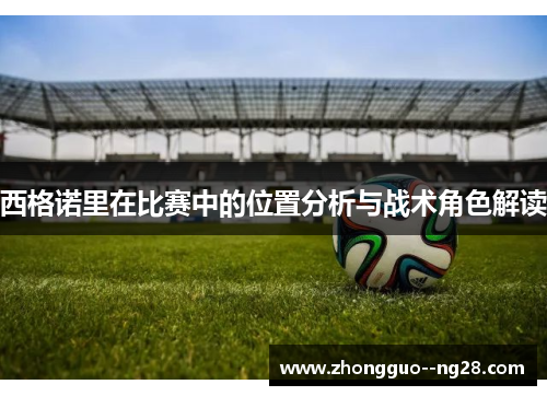 西格诺里在比赛中的位置分析与战术角色解读