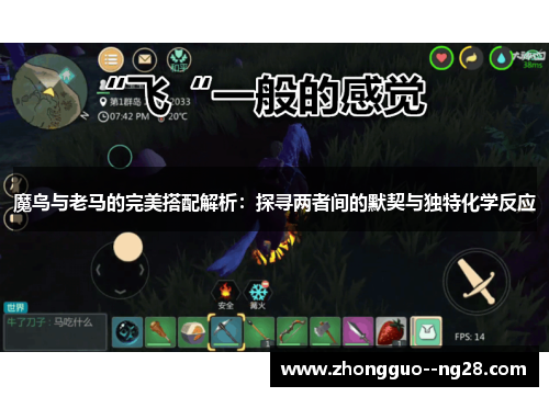 魔鸟与老马的完美搭配解析：探寻两者间的默契与独特化学反应