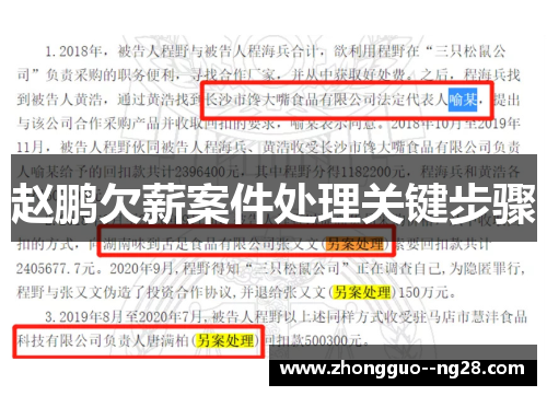 赵鹏欠薪案件处理关键步骤 赵鹏欠薪案件处理关键步骤