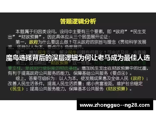 魔鸟选择背后的深层逻辑为何让老马成为最佳人选